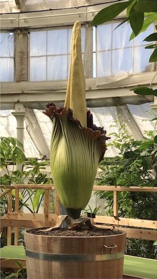 Hej københavn !  Bonjour Copenhague !