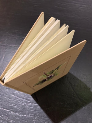 Notebook Figs