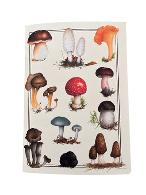 Notebook  Mushrooms