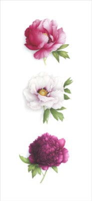 Triptych of 3 peonies