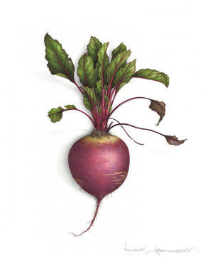 Beetroot - Rectangular sizes