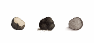 Triptych "The truffles"