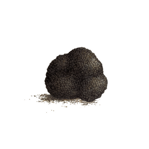 Truffle