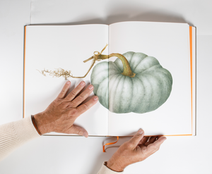 THE BOOK "Inspirations botaniques"