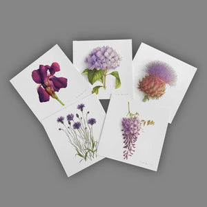 Box of 5 cards - Blue flowers