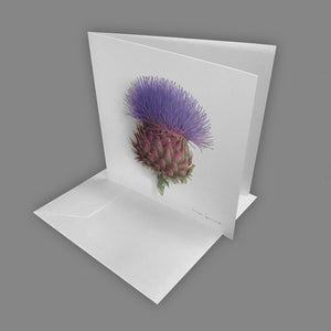 Box of 5 cards - Blue flowers