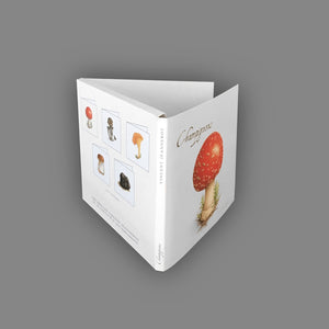 Box of 5 cards - Mushrooms