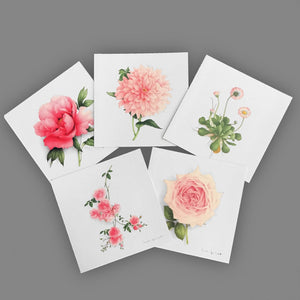 Box of 5 Cards - Pink Flowers