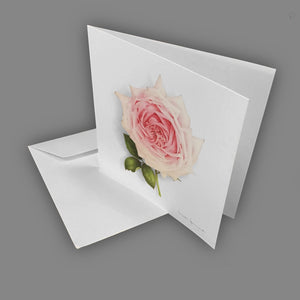 Box of 5 Cards - Pink Flowers