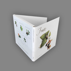 Box of 5 Cards - Fruits
