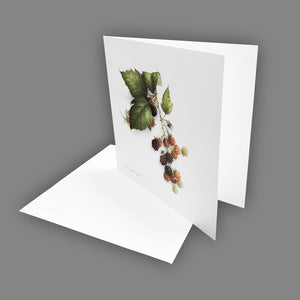 Box of 5 Cards - Fruits