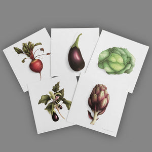 Box of 5 Cards - Vegetables