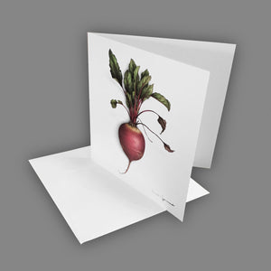 Box of 5 Cards - Vegetables