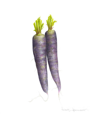 Purple carrots