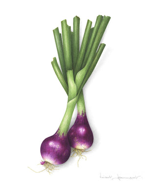 Purple Onions