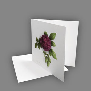 Box of 5 Cards - Antique Roses